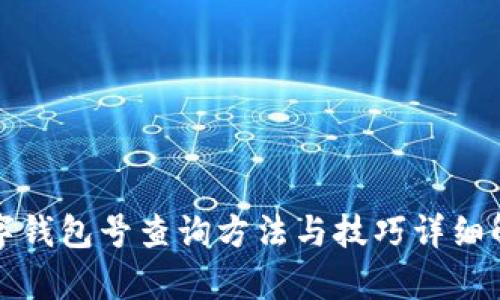 数字钱包号查询方法与技巧详细解析