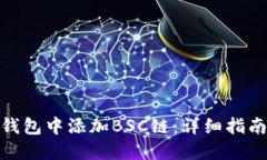 如何在小狐钱包中添加BSC链：详细指南与操作步