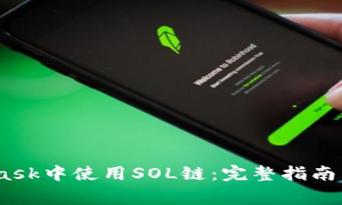 :如何在MetaMask中使用SOL链：完整指南与常见问题解答