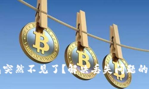 小狐钱包突然不见了？解决丢失问题的全面指南