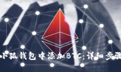 如何在小狐钱包中添加BTC：详细步骤与技巧