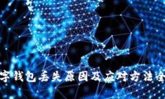 : 数字钱包丢失原因及应对方法全解析