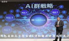区块链钱包名称忘了怎么办？详细解决方案及常