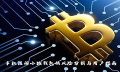手机注册小狐钱包的风险分析与用户指南